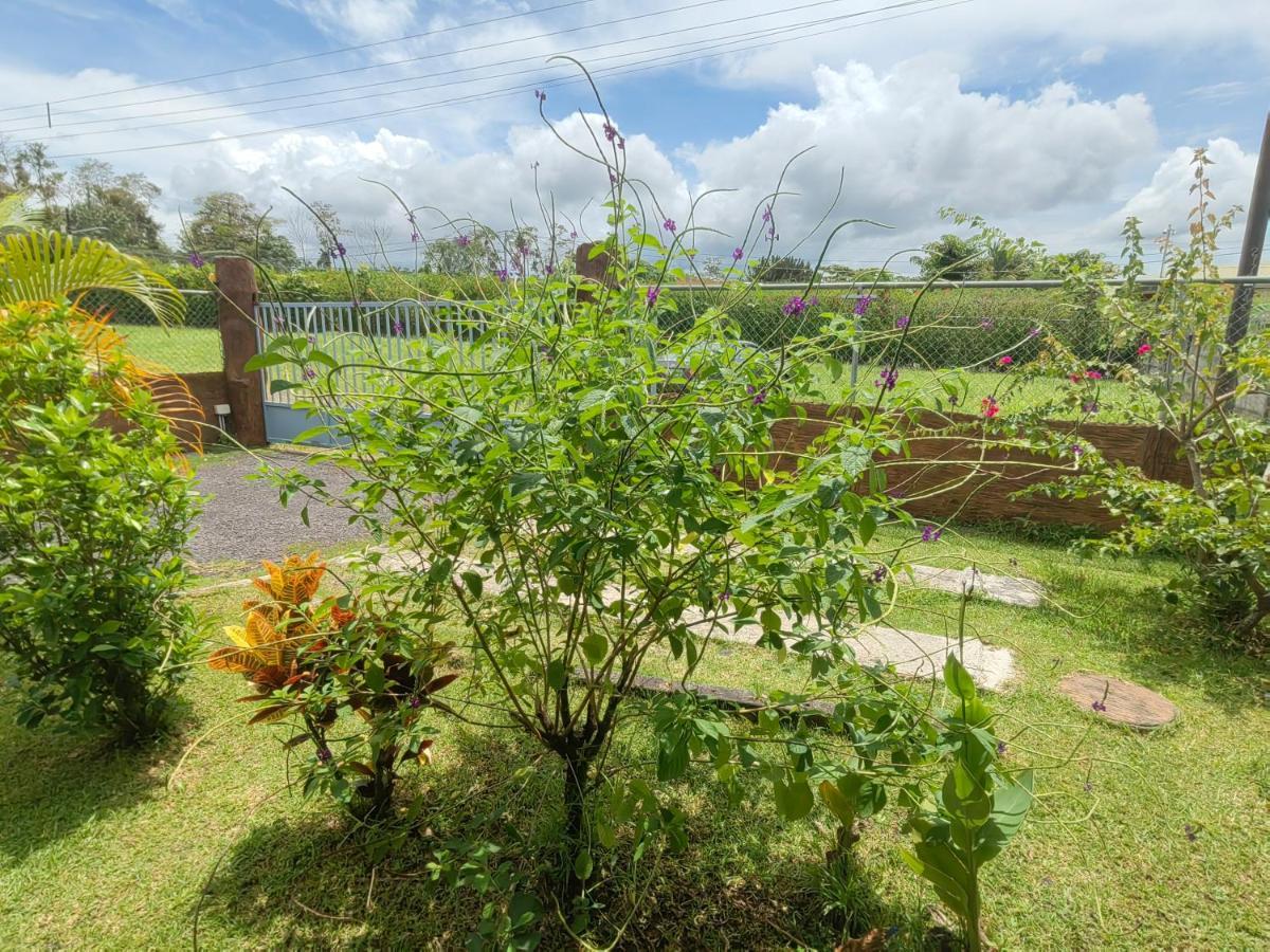 Arenal Homes La Fortuna Exterior foto